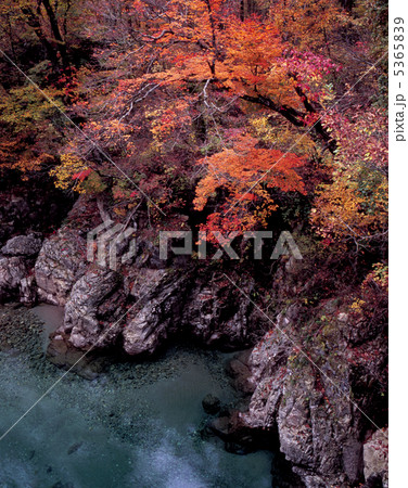 錦秋の玉川渓谷・天狗淵 5365839