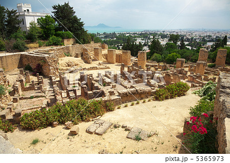 ピュルサの丘 5365973