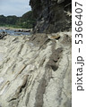 三浦海岸の岩礁 5366407