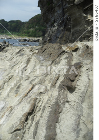 三浦海岸の岩礁 5366407