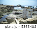 三浦海岸の岩礁 5366408