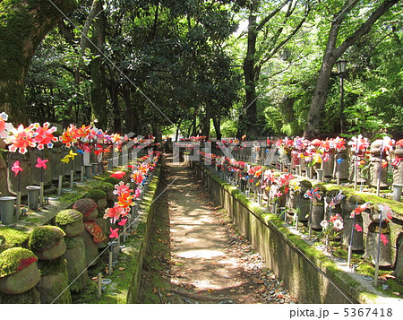 増上寺　西向観音の地蔵群 5367418