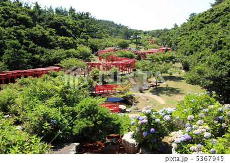 津軽　高山稲荷神社鳥居 5367945