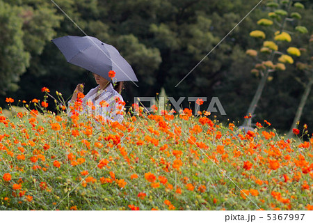 傘をさす女性 5367997