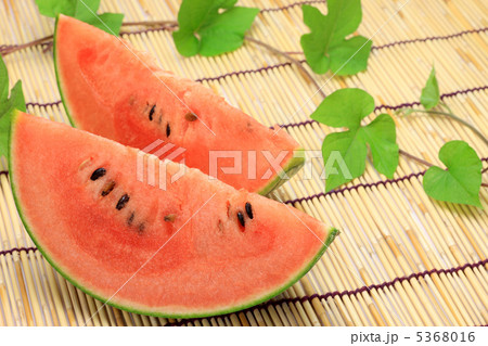 スイカ 5368016