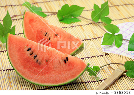 スイカ スイカ 5368018