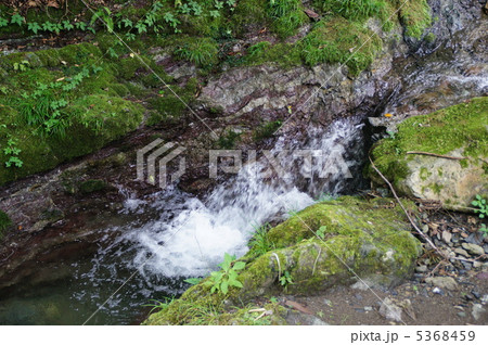 秩父華厳の滝 5368459