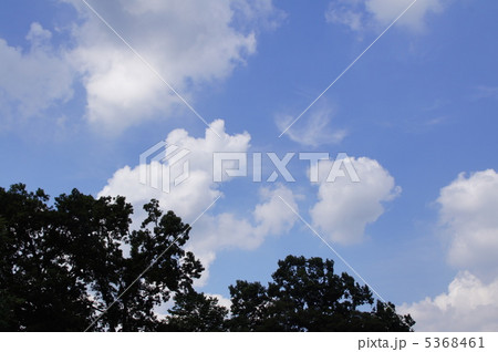 青空に白雲 5368461