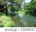 清流 5368937