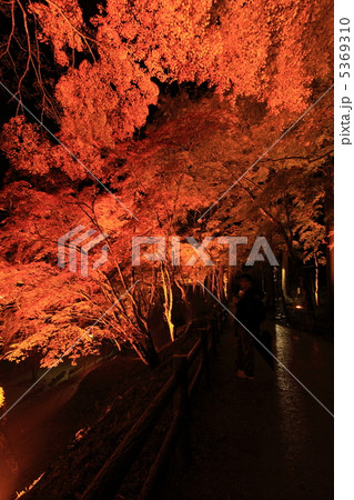 紅葉ライトアップ 5369310