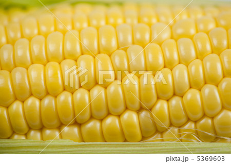トウモロコシアップ 5369603