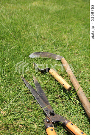 芝刈り 芝刈り 5369768