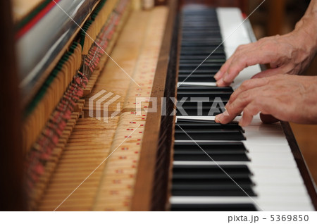ピアノの調律 5369850