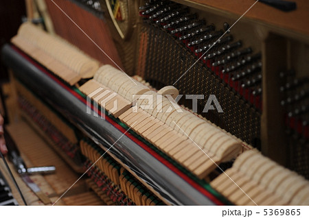 ピアノの調律 5369865