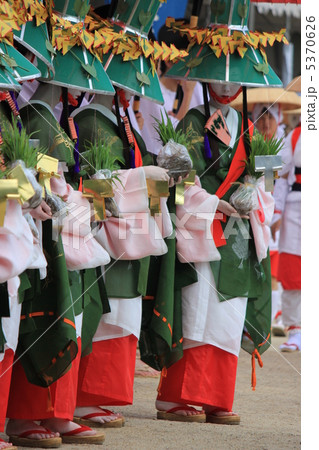 住吉大社 御田植祭 住吉大社 御田植祭 5370626