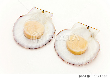 ホタテの刺身 5371338