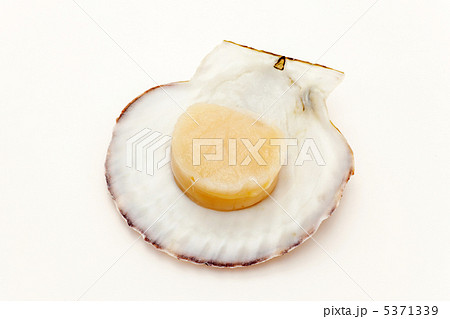 ホタテの刺身 5371339