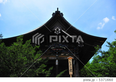 パワースポット秩父神社のつなぎの龍 パワースポット秩父神社のつなぎの龍 5371660