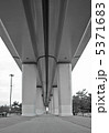 black and white 5371683