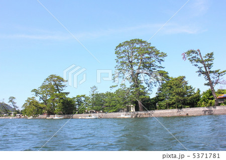 観光船から望む萩の松並木 観光船から望む萩の松並木 5371781