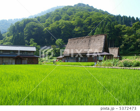五箇山・菅沼集落 5372473
