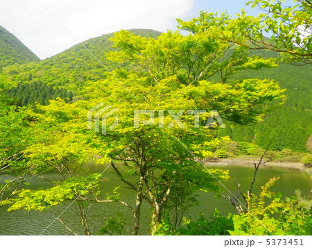 高原の池 5373451