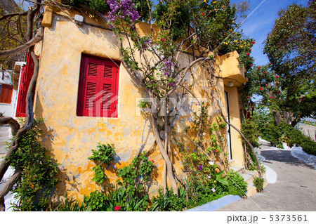 ギリシャ　アテネの植物でデコレーションされた民家 5373561