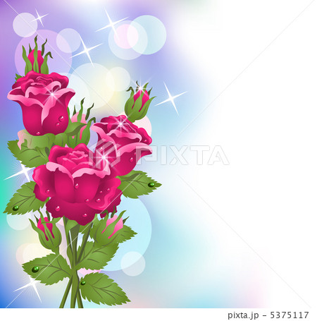 Roses Roses 5375117