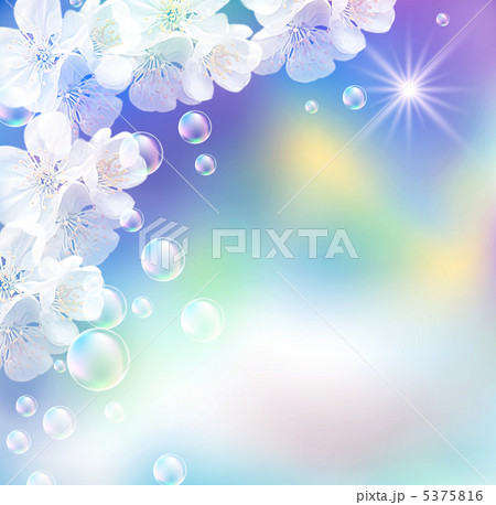 Sky and white flowers Sky and white flowers 5375816