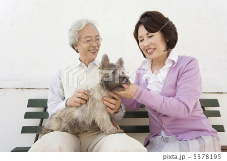 犬をかわいがるシニア夫婦 犬をかわいがるシニア夫婦 5378195