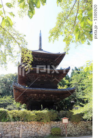 三井寺三重塔 三井寺三重塔 5380920