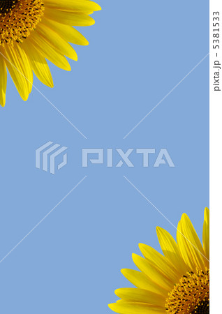フレーム（ひまわり） 5381533