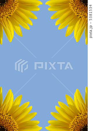 フレーム（ひまわり） 5381534
