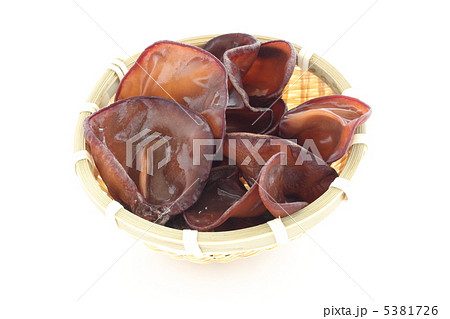 生きくらげ 5381726