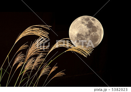 ススキと中秋の名月の写真素材