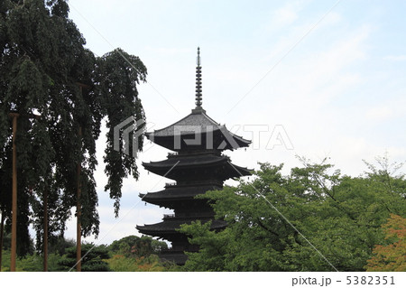 東寺 東寺 5382351