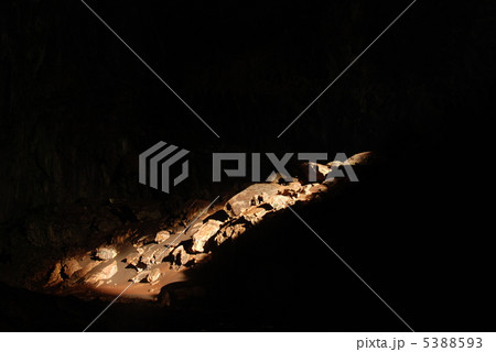 巨大洞窟に差す光（ムル国立公園／ボルネオ島･東マレーシア） 5388593