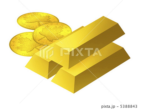 金資産 5388843