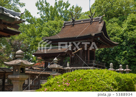 阿智神社　中門と本殿 5388934