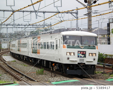 特急踊り子　185系　戸塚駅 5389417