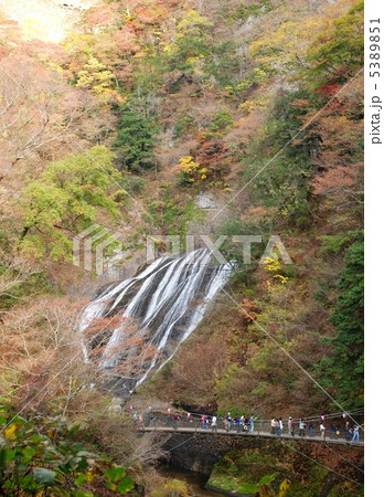 秋の袋田の滝 5389851
