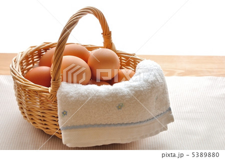 籠の中のたまご 籠の中のたまご 5389880