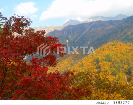色づいた北アルプス 色づいた北アルプス 5392276
