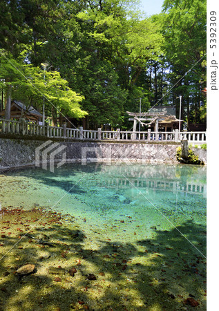 別府弁天池と別府厳島神社 5392309