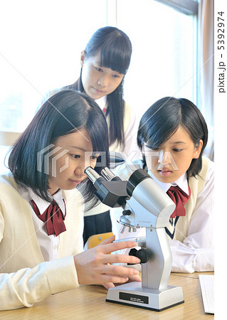 学校 学校 5392974