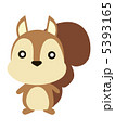 シンプルな正面を向いたリス 5393165