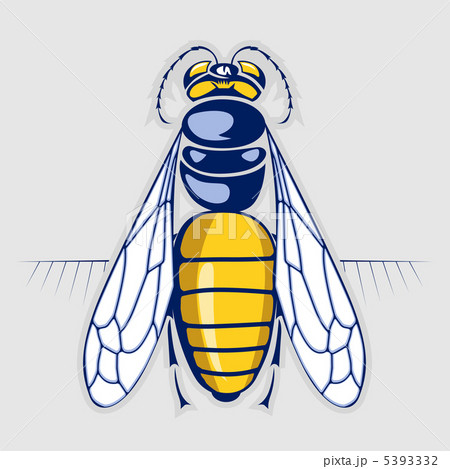 bee honey. sting insect bee honey. sting insect 5393332