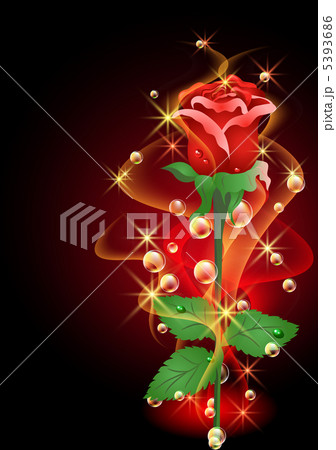 Roses and stars 5393686