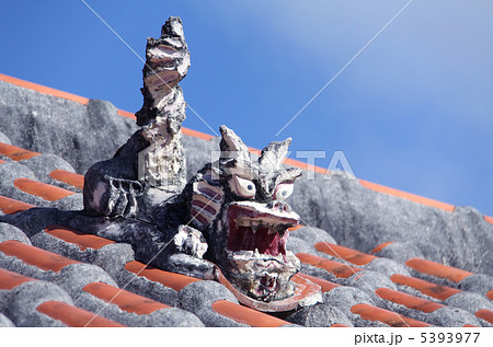 シーサー 5393977