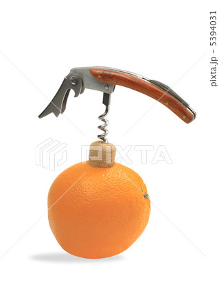 Freshness Orange Juice 5394031